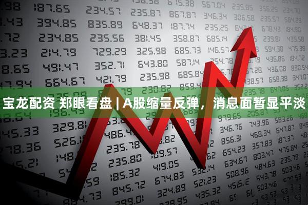 宝龙配资 郑眼看盘 | A股缩量反弹，消息面暂显平淡