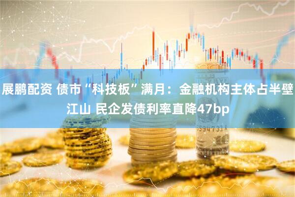 展鹏配资 债市“科技板”满月：金融机构主体占半壁江山 民企发债利率直降47bp