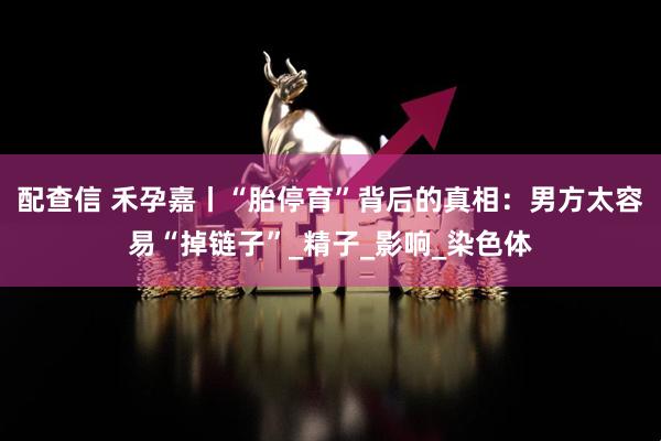 配查信 禾孕嘉丨“胎停育”背后的真相：男方太容易“掉链子”_精子_影响_染色体